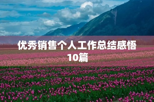 优秀销售个人工作总结感悟10篇