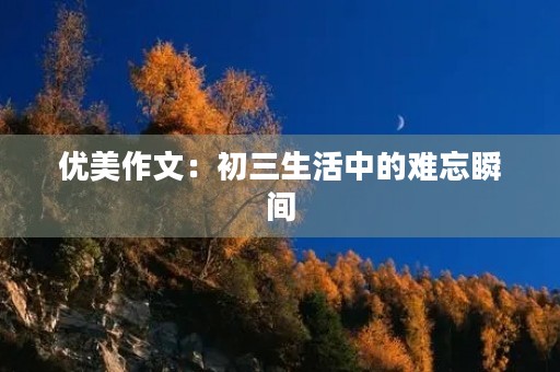 优美作文:初三生活中的难忘瞬间 优美作文:初三生活中的难忘瞬间