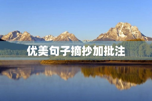优美句子摘抄加批注，优美句子摘抄加批注100字