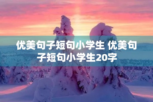 优美句子短句小学生 优美句子短句小学生20字 优美句子短句小学生 优美句子短句小学生20字