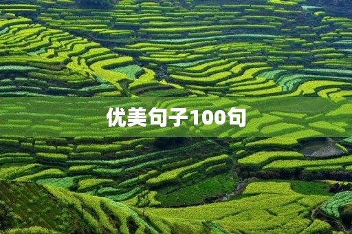 优美句子100句(优美句子100句简短)