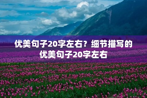 优美句子20字左右？细节描写的优美句子20字左右