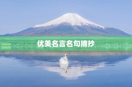 优美名言名句摘抄(优美名言名句摘抄带出处)