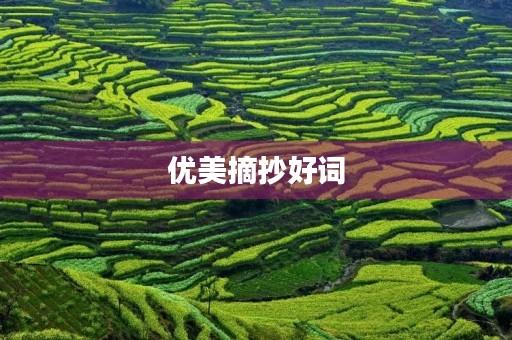 优美摘抄好词(优美摘抄好词好句大全)