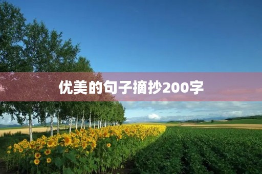 优美的句子摘抄200字，优美的句子摘抄200字左右