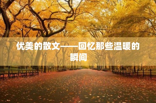 优美的散文——回忆那些温暖的瞬间