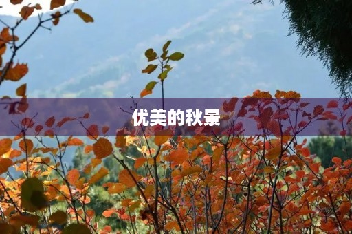优美的秋景 优美的秋景