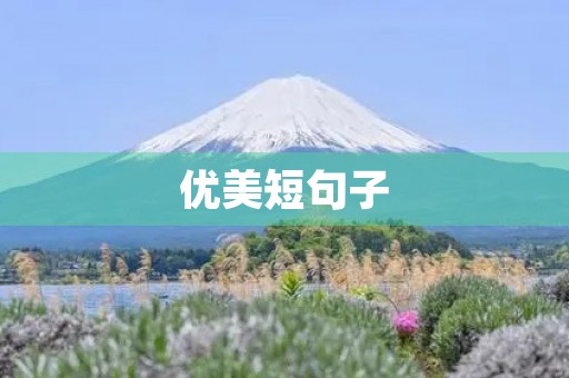 优美短句子(优美短句子积累摘抄大全)