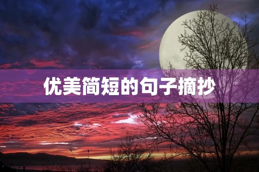 优美简短的句子摘抄,优美简短的句子摘抄20字 优美简短的句子摘抄,优美简短的句子摘抄20字