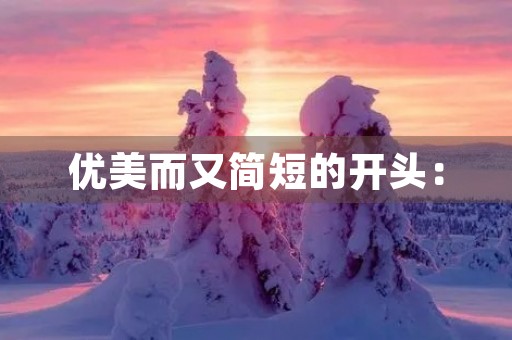 优美而又简短的开头: 优美而又简短的开头:
