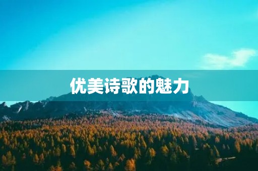 优美诗歌的魅力 优美诗歌的魅力