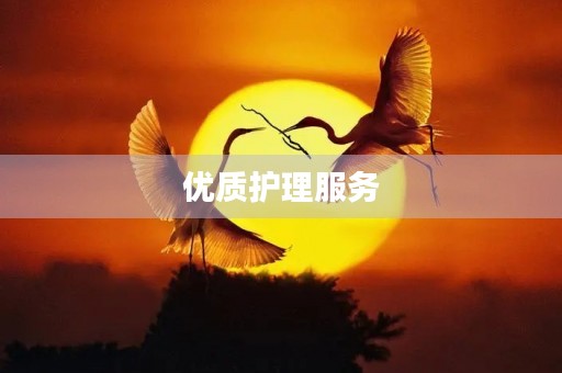 优质护理服务(优质护理举措 60条)