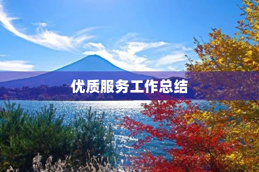 优质服务工作总结