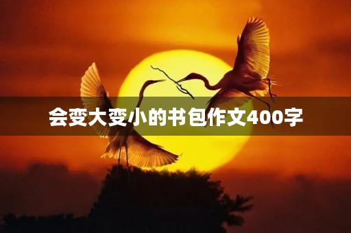 会变大变小的书包作文400字