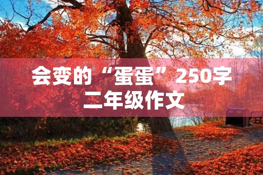 会变的“蛋蛋”250字 二年级作文