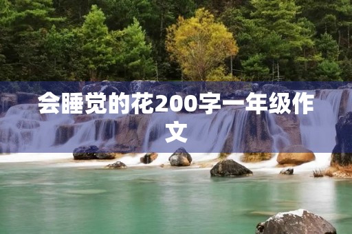 会睡觉的花200字一年级作文