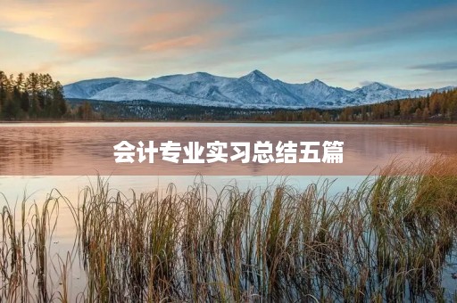 会计专业实习总结五篇 会计专业实习总结五篇