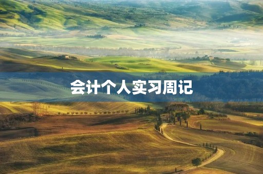 会计个人实习周记 会计个人实习周记