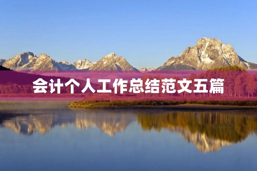 会计个人工作总结范文五篇