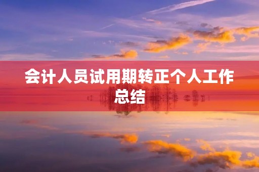 会计人员试用期转正个人工作总结
