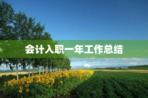 会计入职一年工作总结