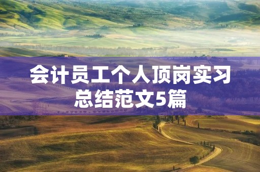 会计员工个人顶岗实习总结范文5篇