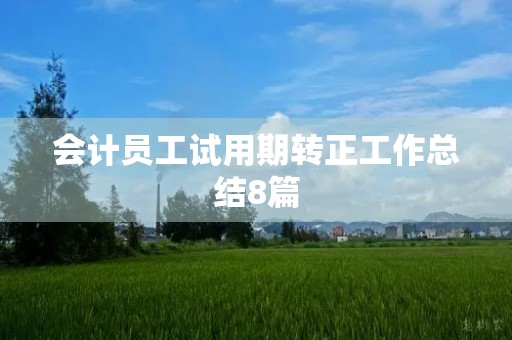 会计员工试用期转正工作总结8篇