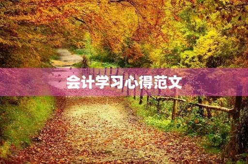 会计学习心得范文