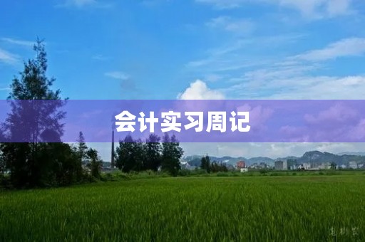 会计实习周记
