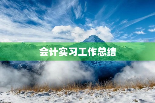 会计实习工作总结(五篇) 会计实习工作总结(五篇)