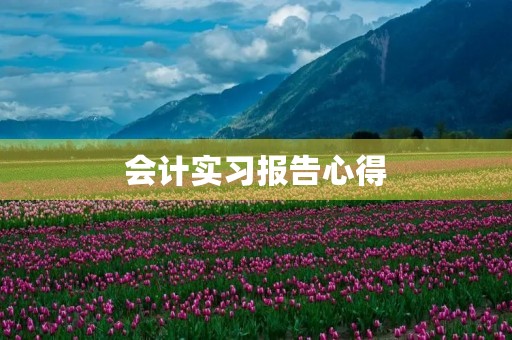 会计实习报告心得