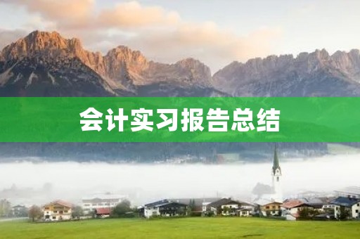 会计实习报告总结