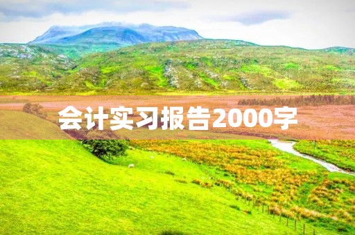 会计实习报告2000字