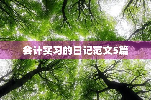 会计实习的日记范文5篇 会计实习的日记范文5篇