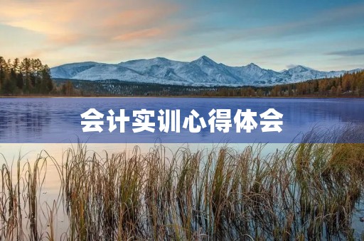 会计实训心得体会