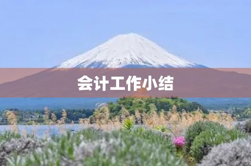 会计工作小结 会计工作小结