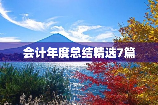 会计年度总结精选7篇