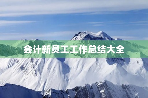 会计新员工工作总结大全
