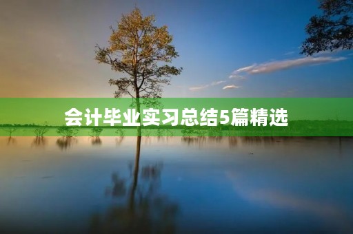 会计毕业实习总结5篇精选