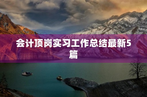 会计顶岗实习工作总结最新5篇
