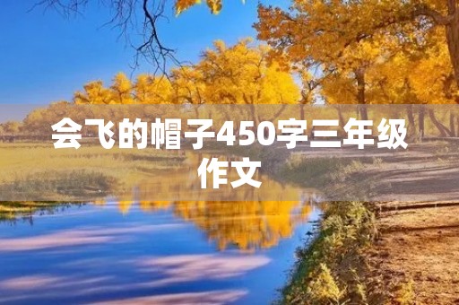 会飞的帽子450字三年级作文