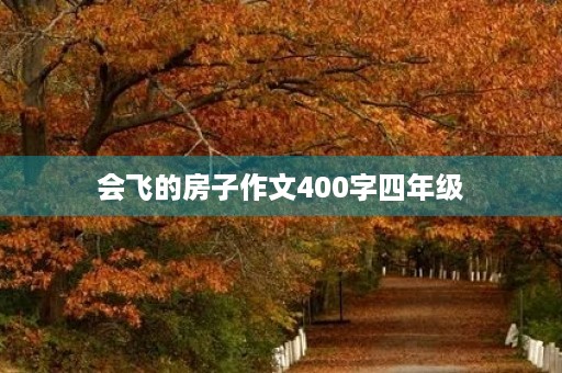 会飞的房子作文400字四年级