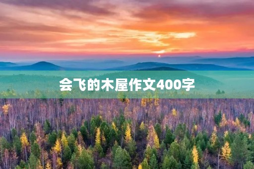 会飞的木屋作文400字