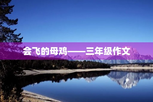 会飞的母鸡——三年级作文