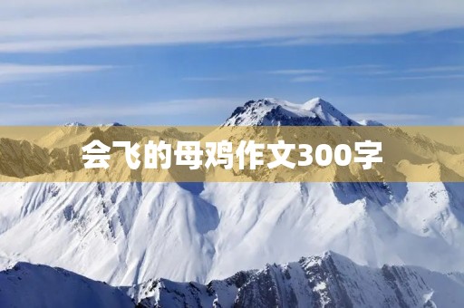 会飞的母鸡作文300字