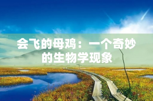 会飞的母鸡：一个奇妙的生物学现象