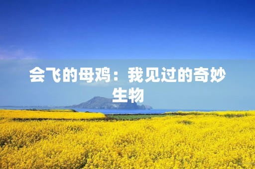 会飞的母鸡：我见过的奇妙生物