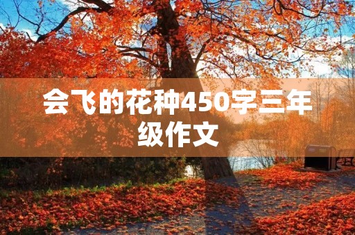 会飞的花种450字三年级作文