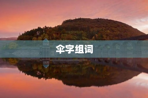 伞字组词(伞的组词)