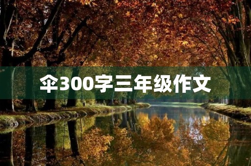 伞300字三年级作文